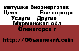 матушка-биоэнергэтик › Цена ­ 1 500 - Все города Услуги » Другие   . Мурманская обл.,Оленегорск г.